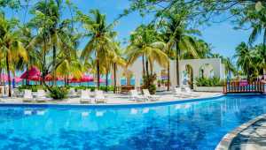 Oasis Palm - Mexique - Cosmic Travel