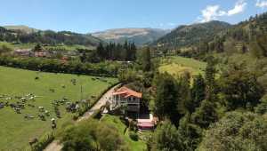 Villa Doris - Nono Country House - Ecuador - Cosmic Travel