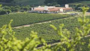 Vinas de Cafayate Wine Resort - Argentinië - Cosmic Travel