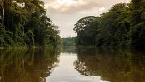 Anakonda Amazon Cruise - Ecuador - Cosmic Travel