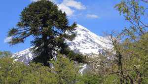 Trekking along Villarrica Volcano  - Vira Vira Hacienda - Chili - Cosmic Travel