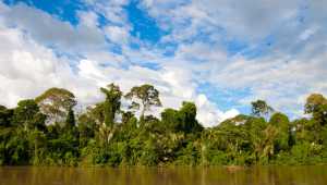 Manatee Amazon Explorer - Equateur - Cosmic Travel