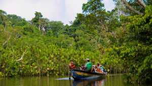 Manatee Amazon Explorer - Ecuador - Cosmic Travel