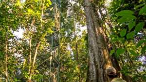 Manatee Amazon Explorer - Ecuador - Cosmic Travel