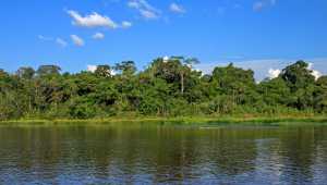 Manatee Amazon Explorer - Ecuador - Cosmic Travel