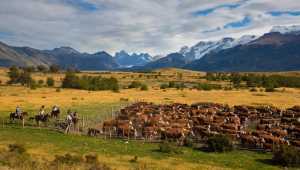 Estancia Nibepo Aike - Argentine - Cosmic Travel