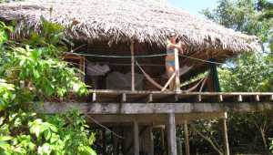 Al Natural Resort - Panama - Cosmic Travel