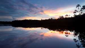 Sacha Lodge - Equateur - Cosmic Travel