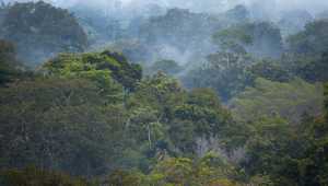 Sacha Lodge - Equateur - Cosmic Travel