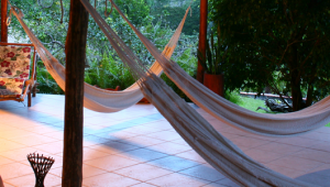 Amazon Ecopark Lodge - Brazilië - Cosmic Travel