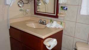 Bromelia - Poco a Poco - Costa Rica - Cosmic Travel