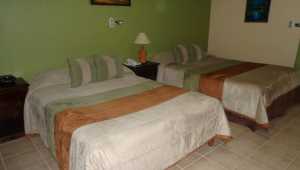 Bromelia - Poco a Poco - Costa Rica - Cosmic Travel