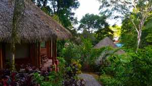 Bungalow - Luna Lodge - Costa Rica - Cosmic Travel