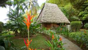 Classic - Bosque del Cabo Rainforest Lodge - Costa Rica - Cosmic Travel