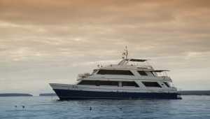 M/Y Letty - Equateur - Cosmic Travel