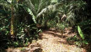 Inkaterra Hacienda Concepcion - Peru - Cosmic Travel