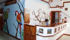 Hostal Macaw - Ecuador - Cosmic Travel
