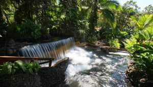 Tabacon Grand Spa Thermal Resort - Costa Rica - Cosmic Travel