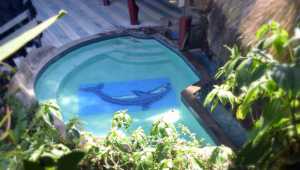 Cariblue - Costa Rica - Cosmic Travel
