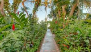 Bahia del Sol - Costa Rica - Cosmic Travel