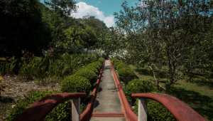 Playa Espadilla - Costa Rica - Cosmic Travel