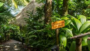 Lapa Rios Ecolodge - Costa Rica - Cosmic Travel