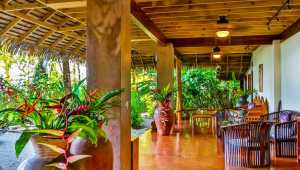 Copa De Arbol Beach & Rainforest Resort - Costa Rica - Cosmic Travel