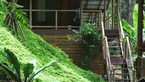 Rios Tropicales Lodge - Costa Rica - Cosmic Travel