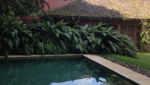 Hacienda La Isla - Costa Rica - Cosmic Travel