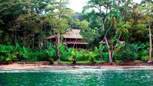 Copa De Arbol Beach & Rainforest Resort - Costa Rica - Cosmic Travel