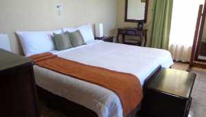 Quetzal - Poco a Poco - Costa Rica - Cosmic Travel