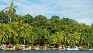 Tortuga Lodge & Gardens - Costa Rica - Cosmic Travel