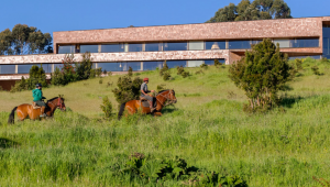 Tierra Chiloe - Chili - Cosmic Travel