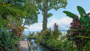 Drake Bay Wilderness - Costa Rica - Cosmic Travel