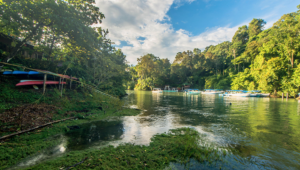 Drake Bay Wilderness - Costa Rica - Cosmic Travel