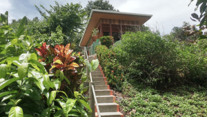 Drake Bay Wilderness - Costa Rica - Cosmic Travel