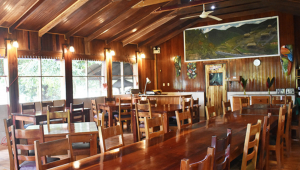 Drake Bay Wilderness - Costa Rica - Cosmic Travel