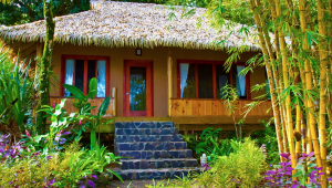 Coco - Copa De Arbol Beach & Rainforest Resort - Costa Rica - Cosmic Travel