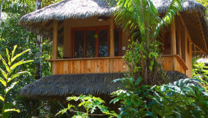 Sable - Copa De Arbol Beach & Rainforest Resort - Costa Rica - Cosmic Travel