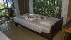 La Leona Lodge - Costa Rica - Cosmic Travel