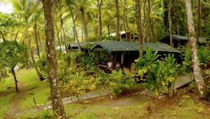 La Leona Lodge - Costa Rica - Cosmic Travel