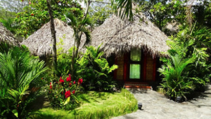 Locanda Samara Beach - Costa Rica - Cosmic Travel