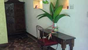 Superior - Hacienda La Isla - Costa Rica - Cosmic Travel
