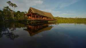 Sacha Lodge - Equateur - Cosmic Travel