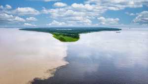 Amazon - Brazilië - Cosmic Travel