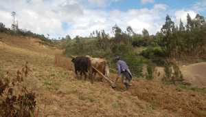 Gocta Andes Lodge - Peru - Cosmic Travel