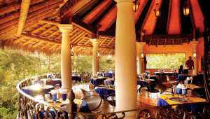 Cuna del Angel  - Costa Rica - Cosmic Travel
