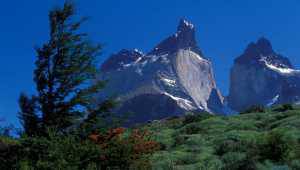 Explora Patagonia - Chili - Cosmic Travel