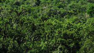 Galapagos Safari Camp - Equateur - Cosmic Travel