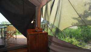 Galapagos Safari Camp - Equateur - Cosmic Travel